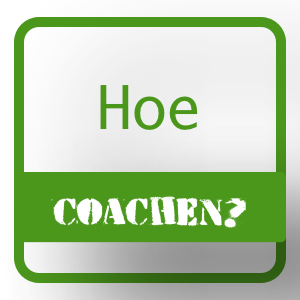 Hoe werkt coachen